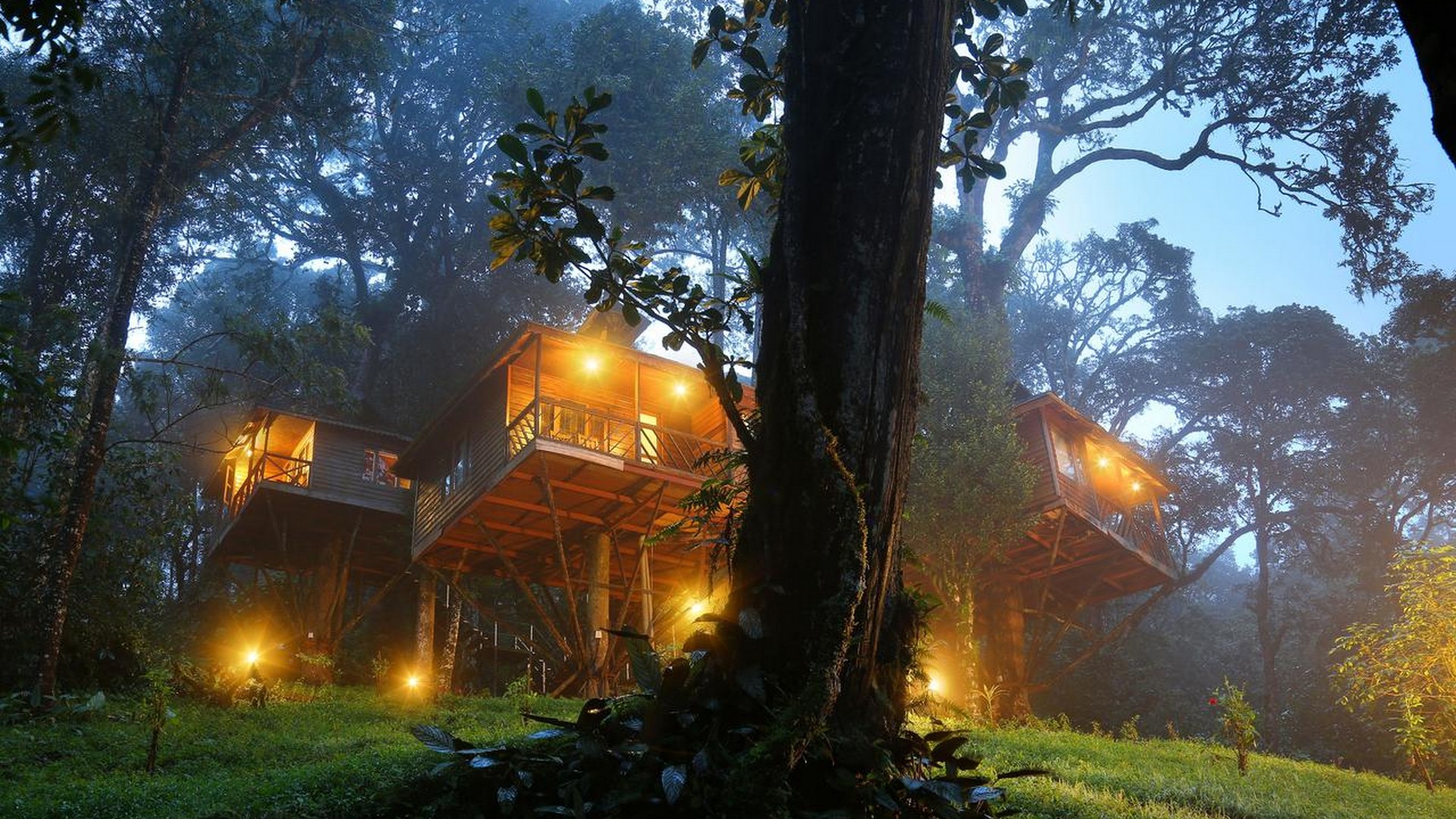 nature-zone-resort-munnar